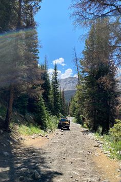 a truck driving down a dirt road surrounded by pine trees and mountain in the distance