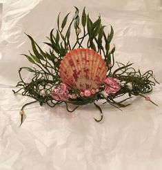 Mermaid Shell Crown Sea Shell Crowns, Seaweed Crown, Mermaid Diy Crafts, Mermaid Costume Makeup, Shell Tiara, Under The Sea Costumes, Shell Crown, Seashell Crown, Shell Crowns