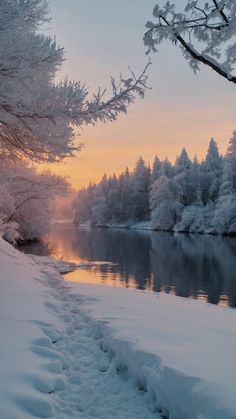 the sun is setting over a lake with snow covered trees in the foreground and footprints on the ground