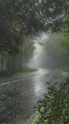 an empty road in the rain with trees lining it