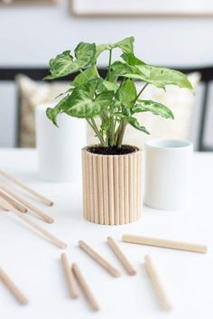 a potted plant sitting on top of a white table next to wooden dows