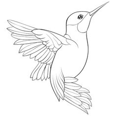 a hummingbird flying with its wings spread