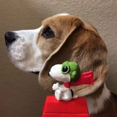 a dog with a toy in its mouth sitting on top of a red box next to a wall