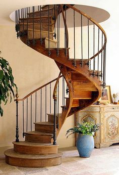 a wooden spiral staircase next to a potted plant