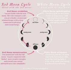 Red Moon Cycle, Period Cycle, Womb Healing, Moon Time, Red Tent, Moon Cycle, Moon Journal, Menstrual Health, Feminine Health