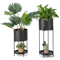 two black plant stands with plants in them