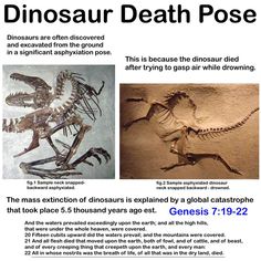 an image of some dinosaur fossiles in the sand with caption about them and what they mean to be