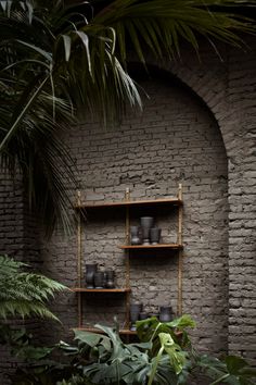 a brick wall with plants and pots on it in front of a shelf that is filled with potted plants