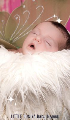 Baby Names Meaning Fairy (100+ Enchanting Names)