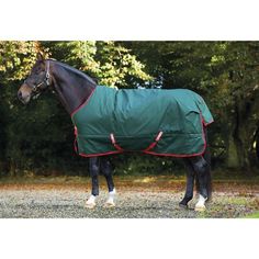 a horse with a blanket on it standing in the grass next to trees and leaves