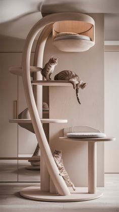 two cats sitting on top of a white shelf next to a table with a laptop