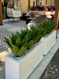 some plants are sitting in white planters outside