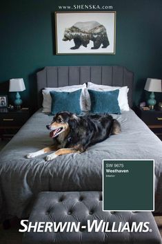 a dog laying on top of a bed in a room with green walls and furniture