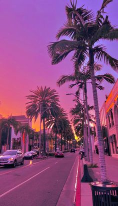 palm trees line the street as the sun sets