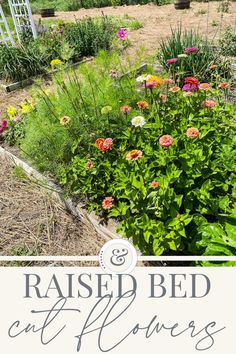 a garden with flowers in it and the words raised bed cat power on top of it