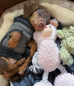 a small dog sleeping next to a stuffed animal on top of a pile of blankets