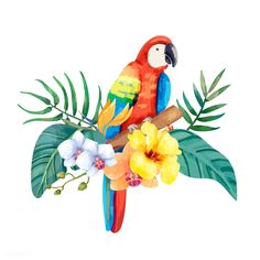 a watercolor painting of a parrot sitting on a branch with tropical leaves and flowers