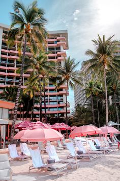 beach chairs and umbrellas are lined up on the sand in front of palm trees