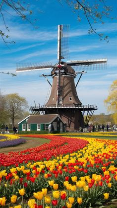 a windmill surrounded by tulips and other flowers