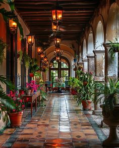 a long hallway with lots of potted plants on either side of it and lights hanging from the ceiling