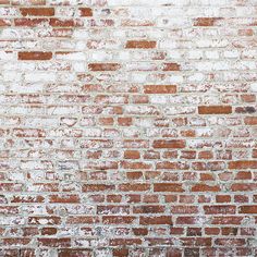 Red & White Brick Wall - HSD Photography Backdrops Brick Wall Photography, Fall Photo Props, Background Artwork, White Brick Wall, Photo Backdrop Christmas, Rustic Photography, Red Brick Wall, Rainbow Photography, Christmas Photo Props