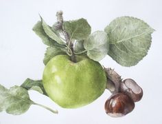 an apple and some leaves on a white background with a snail in the foreground