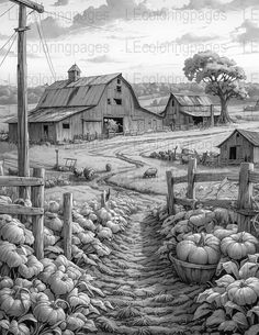 Immerse yourself in the tranquility of the countryside with this beautifully detailed grayscale coloring page for adults. Featuring a rustic farm scene complete with barns, a pumpkin patch, and rolling hills, this digital JPG printable is perfect for those looking to unwind and tap into their artistic side. The intricate details offer hours of coloring enjoyment and the opportunity to create your own masterpiece. Whether you're a seasoned artist or a coloring novice, this page is designed to provide a satisfying and stress-relieving experience. We offer our full coloring books in PDF on our website: https://coloringbooksforadults.shop If you find the grayscale to be too light or too dark, just message me. I am happy to adjust it for you at no cost. Scene Coloring Pages, Books Mystery, Art Therapy Activities, Country Barn, Laser Art, Country Paintings, Mountain Stream