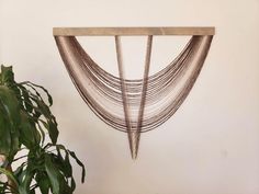 a wooden shelf with metal rods hanging from it's sides next to a potted plant