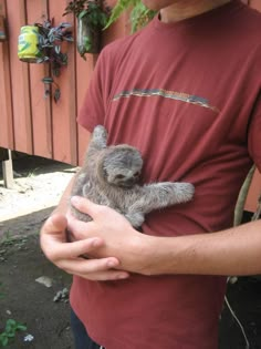 a man holding a small baby animal in his hands, while wearing a red t - shirt