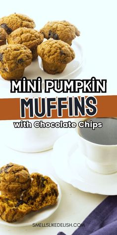 mini pumpkin muffins with chocolate chips on a white plate next to a cup of coffee