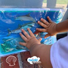 a child's hand reaching for an ocean scene in a window sill with a shark and fish on it