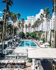 an outdoor swimming pool with lounge chairs and palm trees in front of the hotel buildings