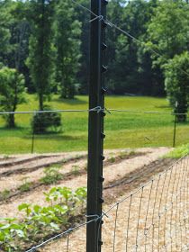 a close up of a wire fence with trees in the back ground and grass behind it