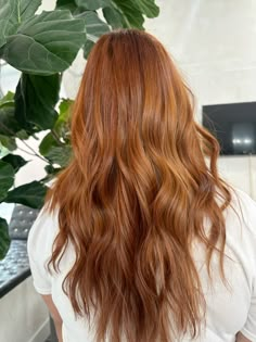 Cooper hair, fall hair, ornage hair, red hair Long Natural Ginger Hair, Ginger With Shadow Root, Ginger Hair With Lowlights, Shadow Roots Hair, Cooper Hair, Cooper Brown, Woman Scorned, Caramel Brown Hair, Hair 2024