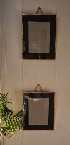 two black and gold framed pictures hang on the wall next to a potted plant