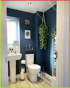 a bathroom with blue walls and white fixtures, including a toilet in the center of the room