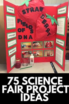 the science fair project has been made with red paper and green ribbon on it's back