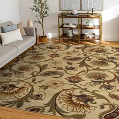 a living room filled with furniture and a rug