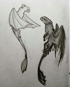 a drawing of two different types of fish and a bat on the side of a wall