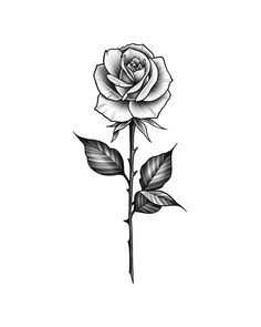 Tattoo Design Black And Grey, Rose Tattoo Hand, Black And Grey Rose Tattoo, Geometric Rose Tattoo, Rose Tattoos For Women