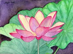 a painting of a pink lotus flower with green leaves