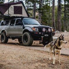 a dog standing in front of a truck with a camper on it's roof