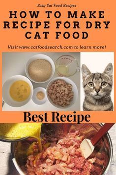 an image of how to make recipe for dry cat food