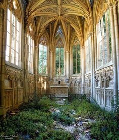 the inside of an old building with lots of windows and ivy growing on the ground