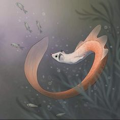 an illustration of a fish swimming in the water with other fish around it and on its back