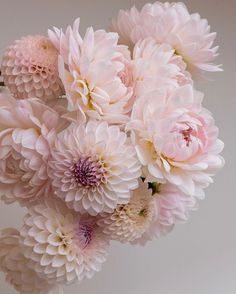 a vase filled with pink and white flowers