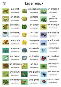 the french language poster with pictures of animals and their names in different languages, including one for