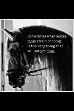 a horse with a quote on it's face in front of a wooden fence