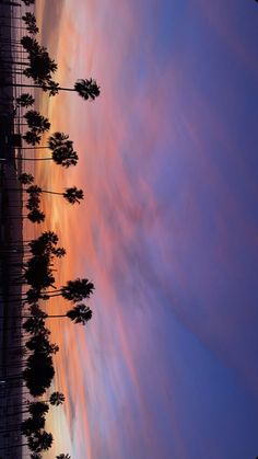 the sky is filled with colorful clouds and palm trees