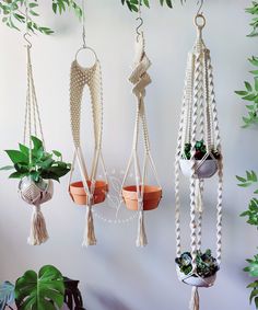 three hanging planters with plants in them and some potted ones on the wall